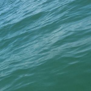 Meet your Posher, Marlene